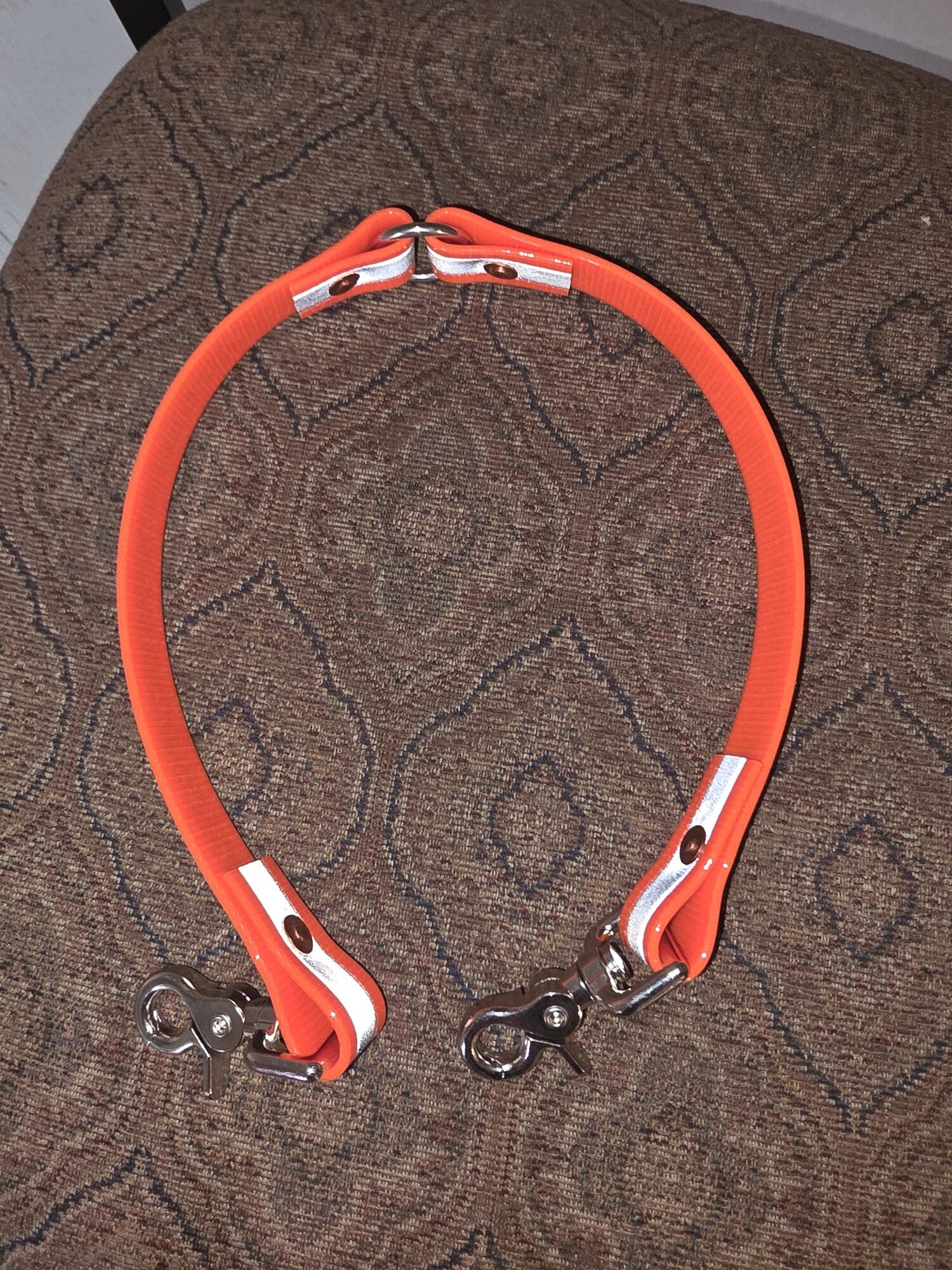 Biothane dog collar with brass name tag