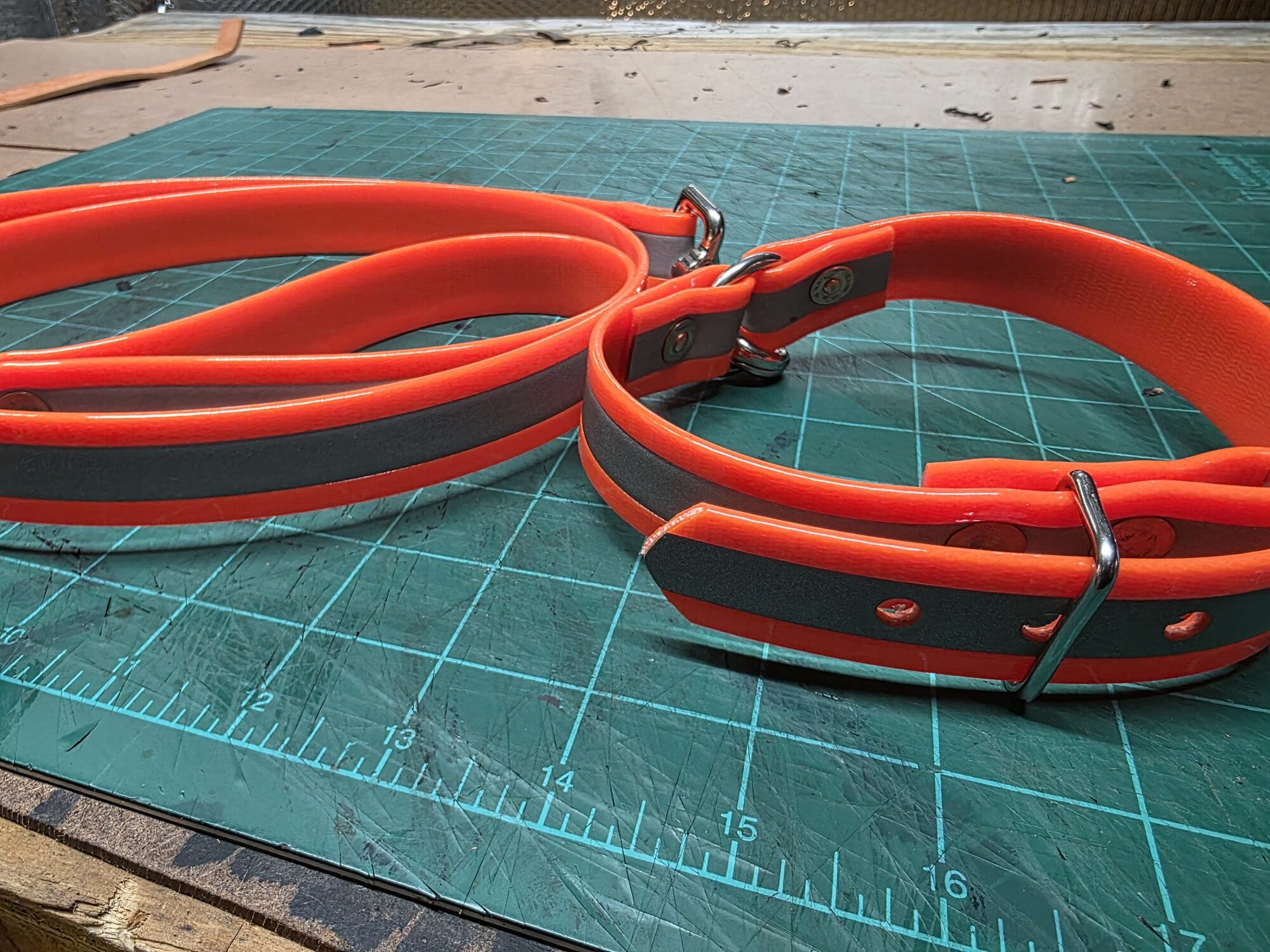 Biothane hunting rig with collar and lead
