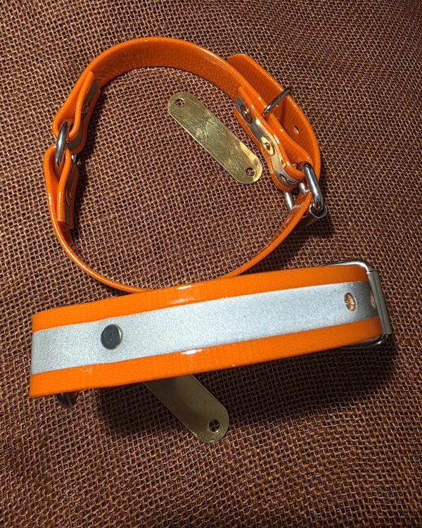 Biothane Dog Collars view 2